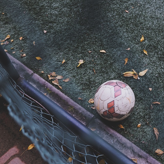开云·体育（官网）APP下载 - KAIYUN SPORTS