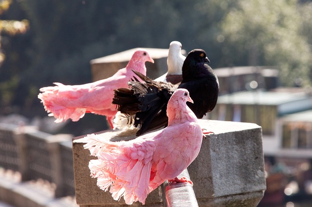 开云·体育（官网）APP下载 - KAIYUN SPORTS